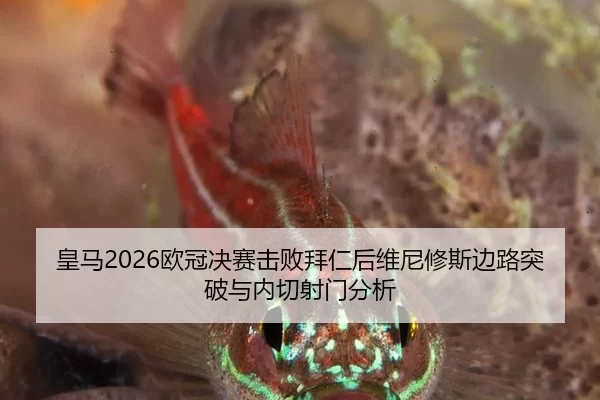 huang-ma-ou-guan-jue-sai-ji-bai-bai-ren-hou-wei-ni-xiu-si-bian-lu-tu-po-yu-nei-qie-she-men-fen-xi-2-403.jpg