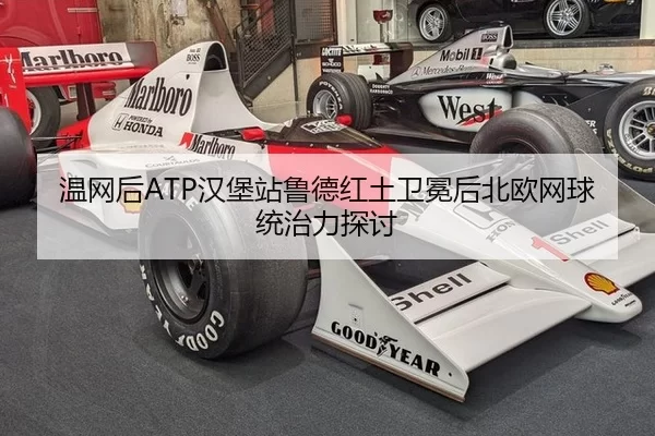wen-wang-hou-han-bao-zhan-lu-de-hong-tu-wei-mian-hou-bei-ou-wang-qiu-tong-zhi-li-tan-tao-2-125.jpg