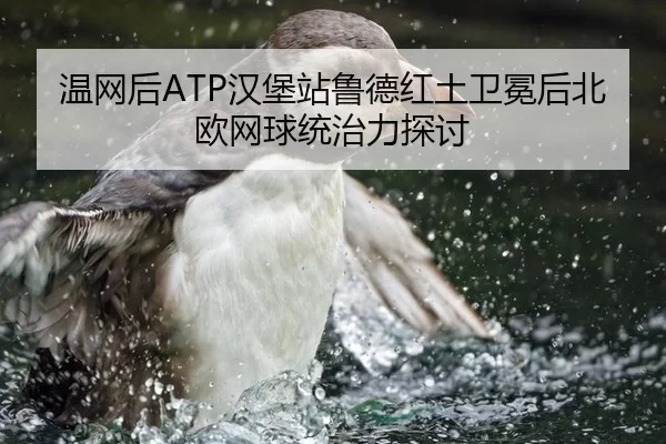 温网后ATP汉堡站鲁德红土卫冕后北欧网球统治力探讨